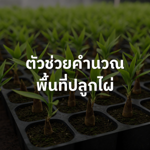 ตัวช่วยคำนวณพื้นที่ปลูกไผ่