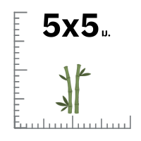 ไผ่ขนาดกลาง